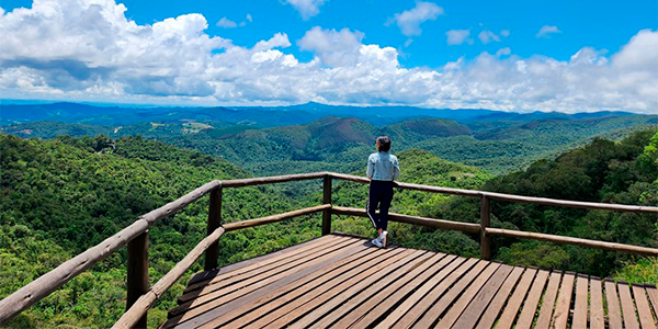Turista contemplando natureza após descobrir como ir a Monte Verde